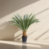 Artificial Sago Palm