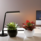 Round Ceramic Planter (Set Of 2)